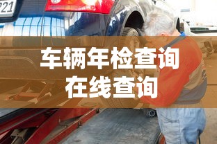 车辆年检查询 在线查询  第1张