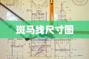 斑马线尺寸图  第1张