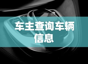 车主查询车辆信息  第1张