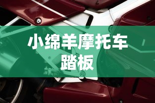 小绵羊摩托车踏板  第1张