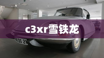 c3xr雪铁龙  第1张