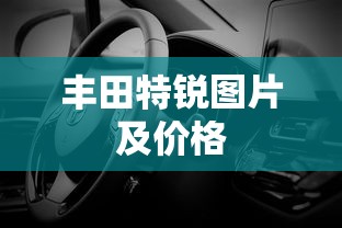 丰田特锐图片及价格  第1张