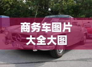 商务车图片大全大图  第1张
