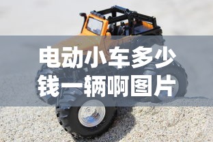 电动小车多少钱一辆啊图片  第1张