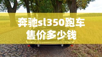 奔驰sl350跑车售价多少钱  第1张