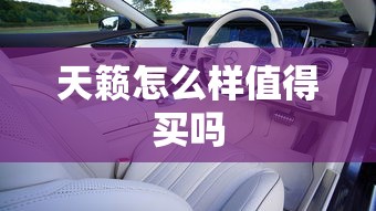 天籁怎么样值得买吗  第1张