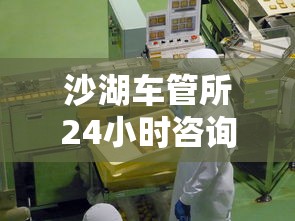 沙湖车管所24小时咨询热线  第1张