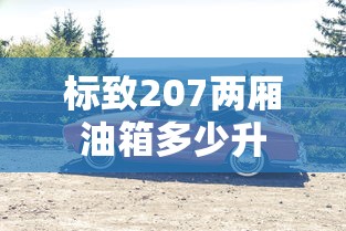 标致207两厢油箱多少升  第1张
