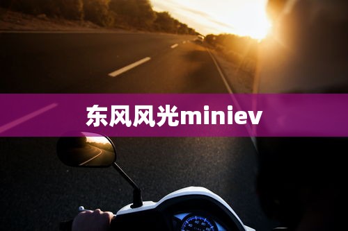 东风风光miniev  第1张