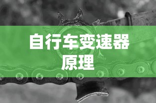 自行车变速器原理  第1张