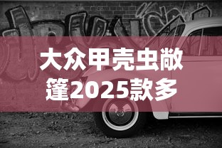 大众甲壳虫敞篷2025款多少钱  第1张