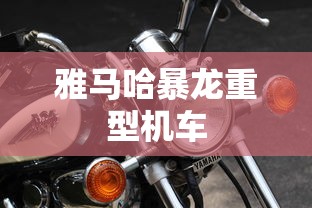 雅马哈暴龙重型机车  第1张