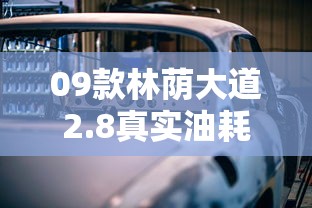 09款林荫大道2.8真实油耗  第1张