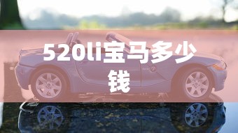 520li宝马多少钱  第1张