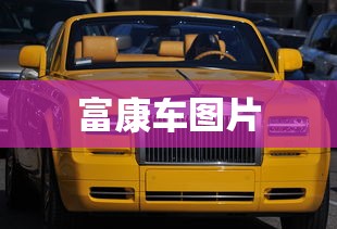 富康车图片  第1张