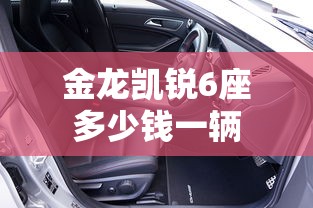 金龙凯锐6座多少钱一辆  第1张