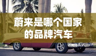 蔚来是哪个国家的品牌汽车  第1张