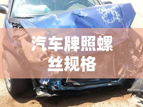 汽车牌照螺丝规格  第1张