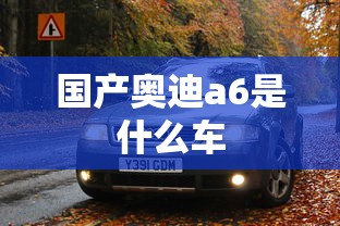 国产奥迪a6是什么车  第1张