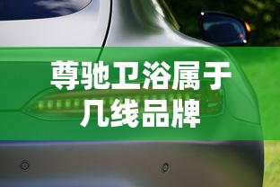 尊驰卫浴属于几线品牌  第1张
