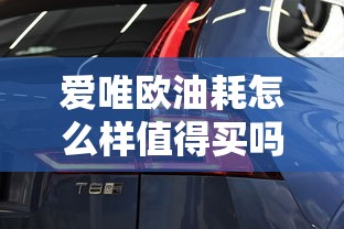 爱唯欧油耗怎么样值得买吗  第1张