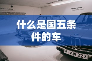 什么是国五条件的车  第1张