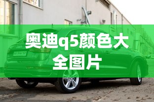 奥迪q5颜色大全图片  第1张