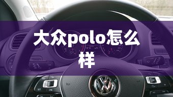 大众polo怎么样  第1张