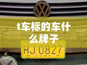 t车标的车什么牌子  第1张