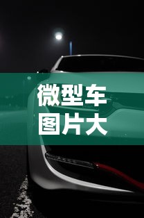 微型车图片大全大图  第1张
