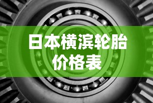 日本横滨轮胎价格表  第1张