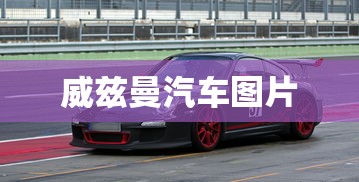 威兹曼汽车图片  第1张