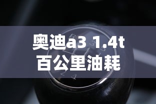 奥迪a3 1.4t百公里油耗  第1张