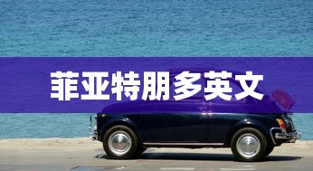 菲亚特朋多英文  第1张