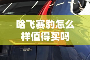 哈飞赛豹怎么样值得买吗  第1张