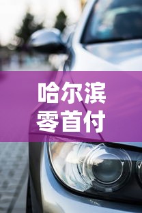 哈尔滨零首付汽车贷款公司  第1张
