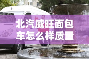 北汽威旺面包车怎么样质量怎么样  第1张