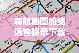 导航地图路线语音提示下载  第1张
