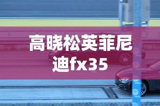 高晓松英菲尼迪fx35  第1张