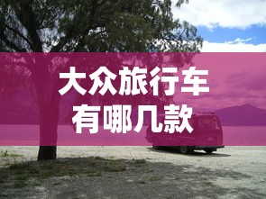 大众旅行车有哪几款  第1张