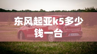 东风起亚k5多少钱一台  第1张