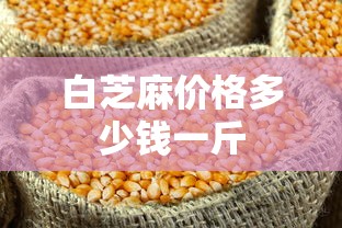 白芝麻价格多少钱一斤  第1张