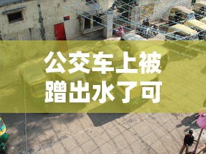 公交车上被蹭出水了可以要求赔偿吗怎么解决  第1张