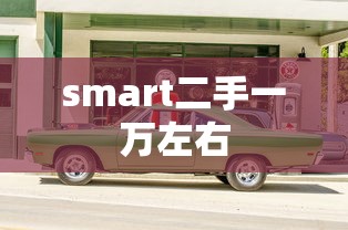 smart二手一万左右  第1张