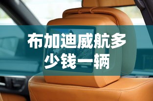 布加迪威航多少钱一辆  第1张