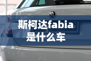 斯柯达fabia是什么车  第1张