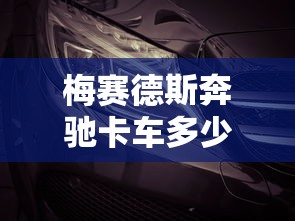 梅赛德斯奔驰卡车多少钱  第1张