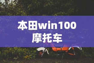 本田win100摩托车  第1张