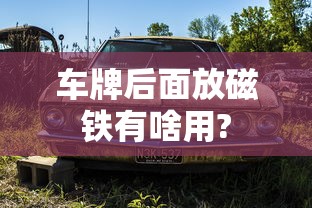 车牌后面放磁铁有啥用?  第1张
