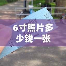 6寸照片多少钱一张  第1张